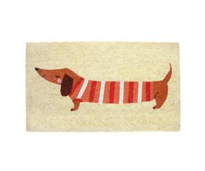 Rex London Door Mat Indoor - Door Matts Indoor Non Slip | Washable Doormat Floor Mat | Small Door Matt for Front Door & Hallway | Pet Mats for Floor | Front Door Decor | Coconut Fibre