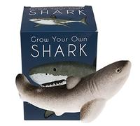 Rex London Grow Your Own Giant Hatching Shark Egg