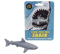 Rex London Grow Your Own Shark