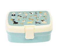 REX London Kids Lunch Box, Bento Box with Compartments, best in show | lunch box kids, bento box, lunchbox, lunchboxes kids, bento boxes, food container, meal prep, school supply, carry lunch