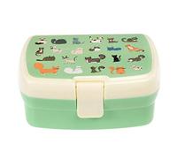 REX London Kids Lunch Box, Bento Box with Compartments, lunchbox, Cats | lunch box kids, bento box, lunchbox, lunchboxes kids, bento boxes, food container, meal prep, school supply, carry lunch