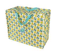Rex London Large Storage Bag with Zipper, Strong and Durable, 55 x 48 x 28 cm, 70 L, Love Birds