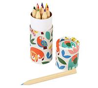 Rex London Set of 12 Colouring Pencils In a Tube - Choice of Design (Wild Wonders)