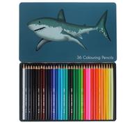 Rex London Sharks 36 Colouring Pencils in a Tin