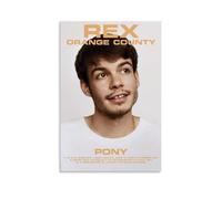 Rex Orange County Poster Decorative Painting Canvas Wall Posters And Art Picture Print Modern Family Bedroom Decor Posters 12x18inch(30x45cm)