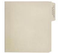 Rex Orange County The Alexander Technique (Vinyl) (US IMPORT)