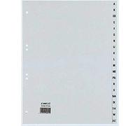 Rexel A-Z Dividers Polypropylene dividers, A4, Extra-Wide, 246 x 297 MM, 20 Sheets, Pack of 1, Grey