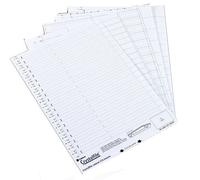 Rexel Crystalfile Crystal Printable Tab Inserts White (50)