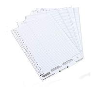 Rexel Crystalfile Printable Card Inserts (1 x Pack of 50 Tab Inserts) for Suspension Files