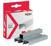 Rexel Odyssey Heavy Duty Staples - Pack of 2500 FREE POST