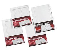 Rexel Twinlock Crown 3C Refill Sheets Double Cash Ledger (Pack of 100 Sheets)