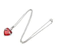 REXVTNS Pet Memorial Necklace | Heart Shape Urn Pendant for Cat/Dog Ashes | Stainless Steel Keepsake Jewelry | Always on My Mind Forever in My Heart Engraved