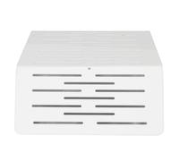 REXVTNS Turtle Basking Platform | Thick Acrylic & Hollowed Steps for Reptiles/Turtles/Lizards | Stable Climbing Ramp for Aquarium & Fish Tank (L)