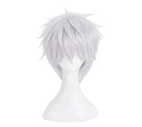 REYHS Anime Wig Accelerator Cosplay Wig For Toaru Majutsu No Index,Short Silver White Wig,Costume Halloween Wig,For Costume Party, Anime Show, Cosplay Event, Concerts, Daily Wig