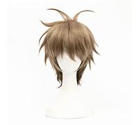 REYHS Anime Wig Kato Haru Cosplay Wig For The Millionaire Detective Balance: Unlimited,Short Brown Wig,Costume Halloween Wig,For Costume Party, Anime Show, Cosplay Event, Concerts, Daily Wig