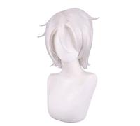 REYHS Anime Wig Noe Archiviste Cosplay Wig for The Case Study of Vanitas, Silver White Short Wig, Costume Halloween Wig, For Halloween, Costume Party, Anime Show, Cosplay Event, Concerts, Daily w
