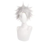 REYHS Anime Wig Sanemi Shinazugawa Cosplay Wig For Demon Slayer Kimetsu no Yaiba, Short Silver Gray Wig, Costume Halloween Wig, für Costume Party, Anime Show, Cosplay Event, Concerts, Daily Wig