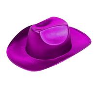 Reyox 1 PC Adults Metallic Space Cowboy Hat, Cowgirl Hat for Fancy Dress Party Purple
