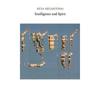 Reza Negarestani Intelligence and Spirit (Paperback)