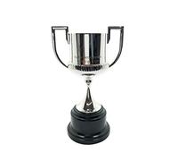 RFEF SF-RFEF-CDR-150 Official Replica King's Cup, 15 cm Trophy, Metal 3D, Unisex-Adult, Grey, 150 mm