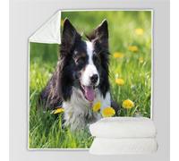 RFFLUX 3D Border Collie Throw Blankets 180x220 cm Soft Warm Cozy Microfiber Flannel Fleece Dog Blanket Sofa Lightweight Summer Machine Washable Bedspread for Bed and Couch(Style 32-12)