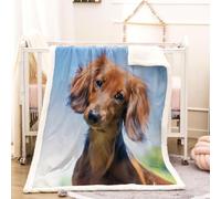 RFFLUX 3D Dachshund Throw Blanket 150x200 cm Winter Soft Warm Cozy Animals Dogs Sherpa Blanket Sofa Lightweight Microfiber Machine Washable Bedspread for Bed and Couch（Style 139-19）