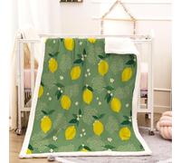 RFFLUX 3D Lemon Throw Blanket 150x200 cm Winter Soft Warm Cozy Fruit Sherpa Blanket Sofa Lightweight Microfiber Machine Washable Bedspread for Bed and Couch（Style 53-11）