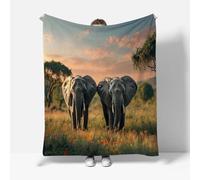 RFFLUX Elephant Throw Blankets 180x220 cm Soft Warm Cozy Microfiber Fleece Flannel Animal Elephants Blanket Sofa Lightweight Summer Machine Washable Bedspread for Bed Couch（Style 220-19）