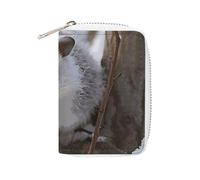 RFID Credit Card Holder Wallets for Women Cute Small Leather Ladies Cardholder Wallets Opossum In Snow Card Organizer Case with Zipper, style, 16x11.5cm