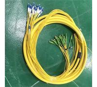 RGFDLJN 4-core E2000/A to SC/FC/LC/ST fiber optic patch cord, length 10-100 meters(80M,E2000A-LC)