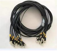 RGFDLJN Armored Optical Cable,300 Multimode, 2/4/6/8/12 Cores,LC-LC,SC,FC,ST,UPC, Flexible Fiber Optic Jumper, 200m(6-core LC UPC-LC UPC)