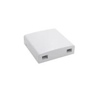 RGFDLJN FTTH Terminal box 30pcs 86 type ABS junction box wall mount desktop patch panel white 2port plastic box factory wholesales(Type A)