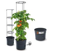 rgvertrieb Flower Pot, Tomato Pot, Pot for Tomato Plants, Tomato Growers, Plant Rearing Tower with Trellis Riser (Diameter 300)