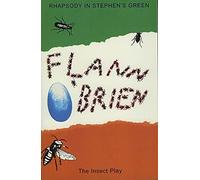 Rhapsody In Stephens Green: And The Insect Play: 6 (Essays and Texts in Cultural History)