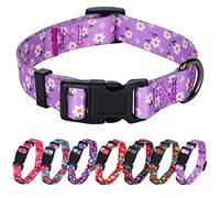 Rhea Rose Daisy Girl Dog Collars, Floarl Design for Small Dogs, Purple