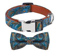Rhea Rose Dog Collar with Bow Tie for Girl or Boy Gift Soft Durable Bowtie Paisley Medium