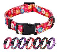 Rhea Rose Girl Dog Collars Cute Pink Daisy Collar, Spring and Summer Flower for Small Dogs