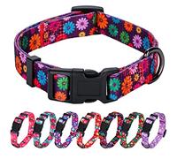 Rhea Rose Girl Dog Collars Fall Daisy Pattern, Colorful Flowers Print, Female Collar, Dark Purple, Meidum