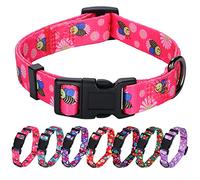 Rhea Rose Pink Dog Collar Summer Daisy and Bees Print for Small Dogs