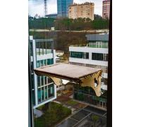 Rheme Modern Hanging Cat Bed, Window Cat Perch, Cat Tower, Cat Window Hammock, Wooden Cat Bed, Cat Bed For Window (Medium, Cream)