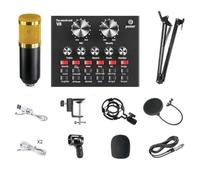 Rhghfujhgy BM-800+V8 Sound Card Kit Replacement Spare Parts Accessories Podcast Equipment Bundle Voice Network Karaoke Diaphragm Condenser Microphone Karaoke Kit