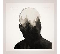 Rhian Sheehan A Quiet Divide (Vinyl) 12" Album (US IMPORT)