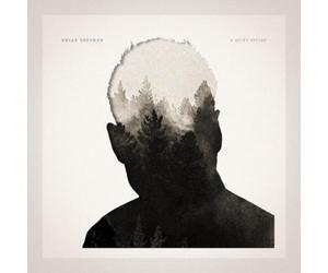 Rhian Sheehan A Quiet Divide (Vinyl) 12" Album (US IMPORT)