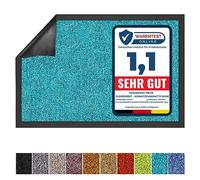 Rhine Dirt Trapper Mat, Absorbent Machine Washable Doormat with Non-Slip Backing, Indoor & Outdoor Front Door Mat Barrier Entrance Mat (Turquoise, 40 cm x 60 cm)