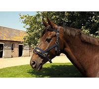 Rhinegold 0 Rhinegold Nylon Lunge Cavesson, Navy, Pony UK