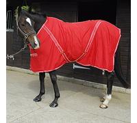 Rhinegold 0 Rhinegold Summer Sheet, Red Bound White, 6 UK