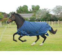 Rhinegold Arizona 100g Horse Turnout Rug 600d Standard Neck 4.9, Navy