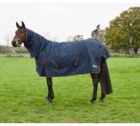 Rhinegold Aspen Outdoor Rug