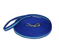 Rhinegold Carnival Bright Lunge Rein-Royal/Turq