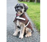 Rhinegold Dog Fleece-22(55cm)-Brown